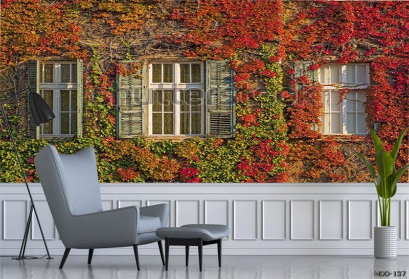 Địa danh châu Âu MDD-137